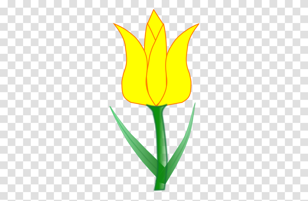 Tulip Clipart, Plant, Lamp, Flower, Blossom Transparent Png