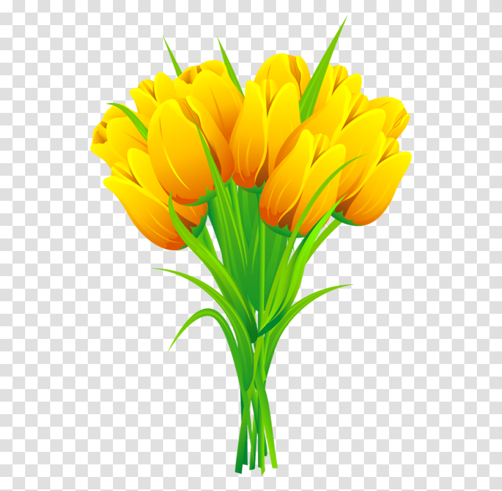 Tulip Clipart Printable Tulip Clipart, Plant, Flower, Blossom Transparent Png