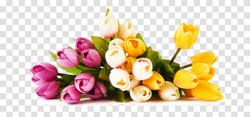 Tulip Clipart Psd Relationship Love Messages In Hindi, Plant, Flower Bouquet, Flower Arrangement, Blossom Transparent Png