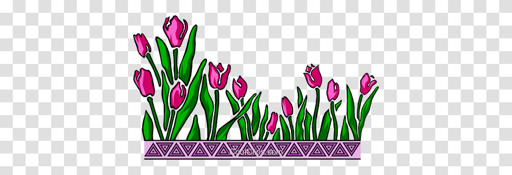 Tulip Design Royalty Free Vector Clip Art Illustration, Plant, Flower, Blossom, Purple Transparent Png