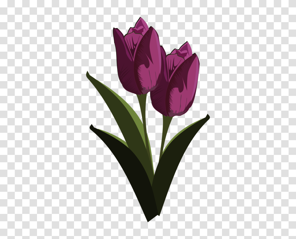 Tulip Download Mosseruds Gf Pixel Art, Plant, Flower, Blossom, Crocus Transparent Png