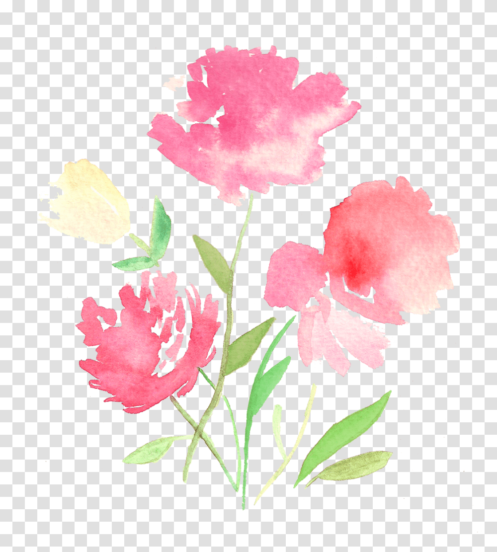 Tulip Download, Plant, Flower, Blossom, Carnation Transparent Png