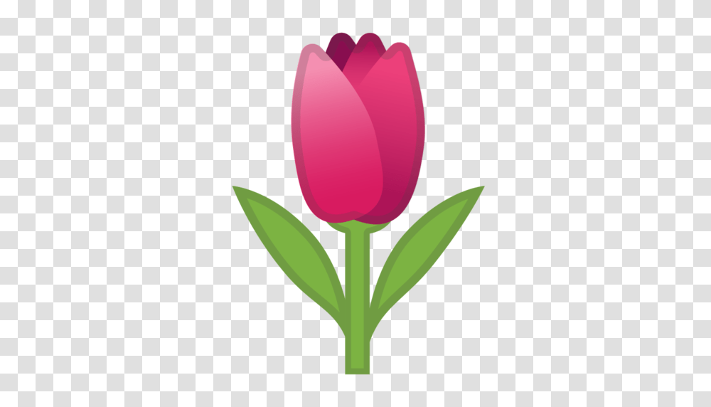 Tulip Emoji, Plant, Flower, Blossom, Petal Transparent Png