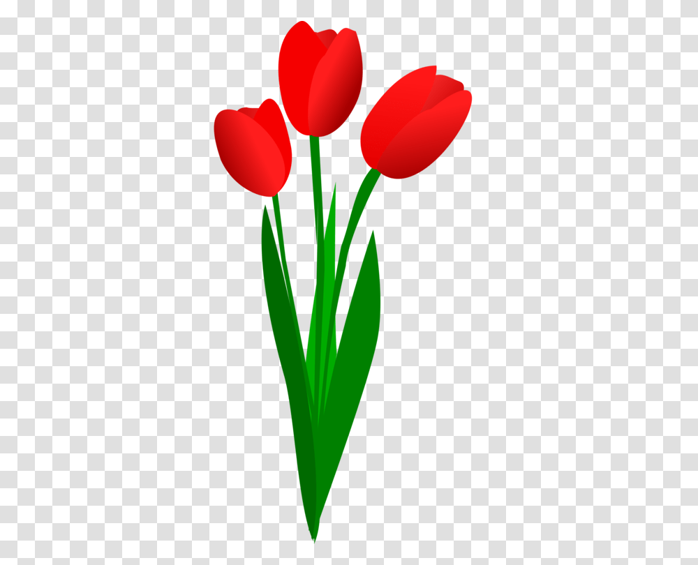 Tulip Flower Bouquet Download Art, Plant, Blossom, Balloon, Petal Transparent Png