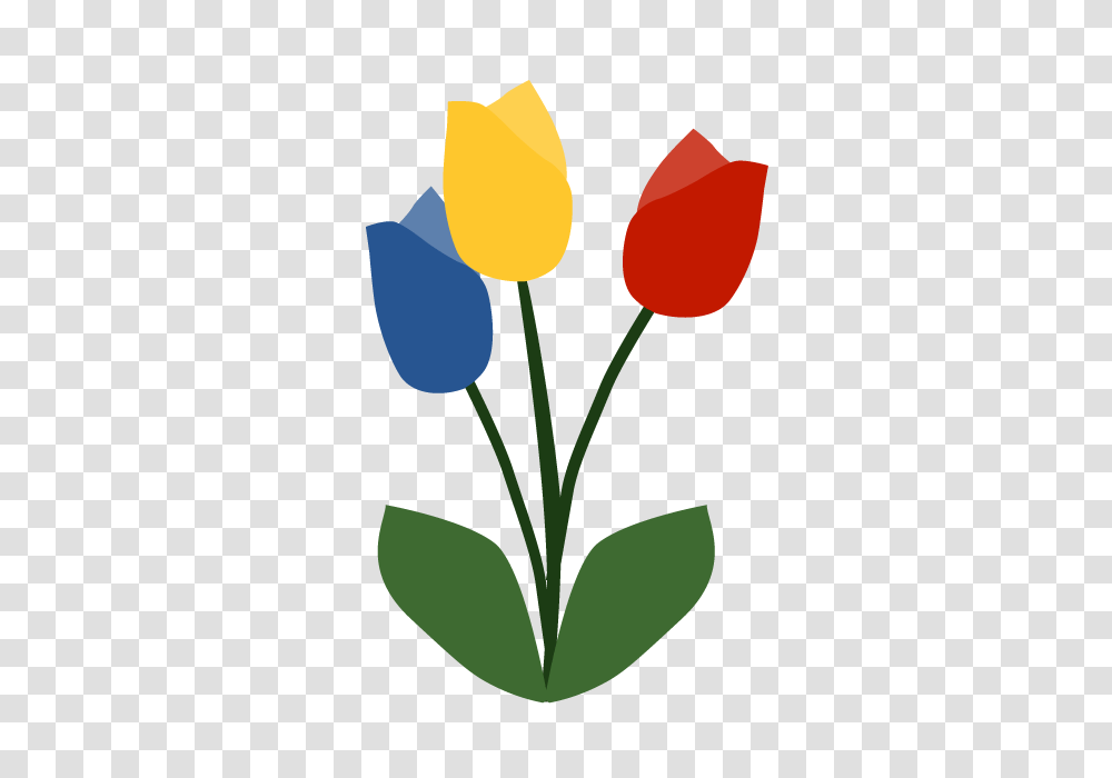 Tulip Flower Clip Art Material Free Illustration Image, Plant, Blossom, Rose, Petal Transparent Png