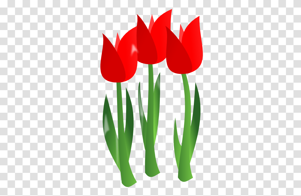 Tulip Flower Clip Art, Plant, Blossom, Petal Transparent Png