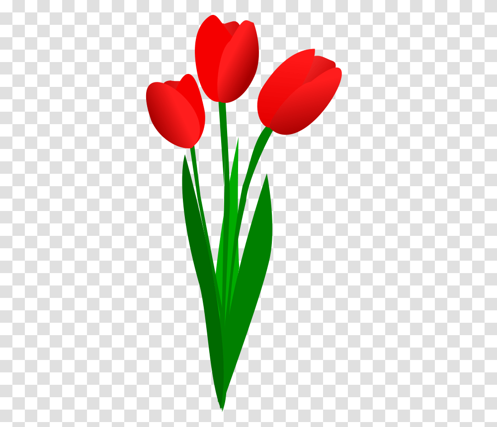 Tulip, Flower, Plant, Blossom, Balloon Transparent Png