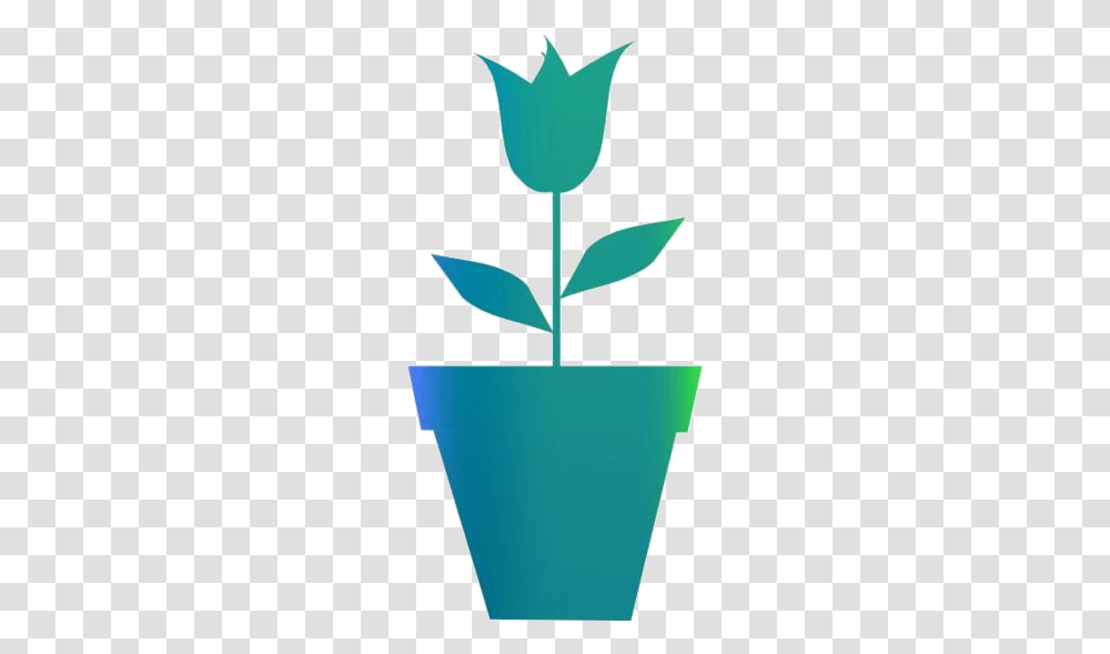 Tulip Flower Pot Free Clipart Flower, Plant, Blossom, Aloe, Bucket Transparent Png