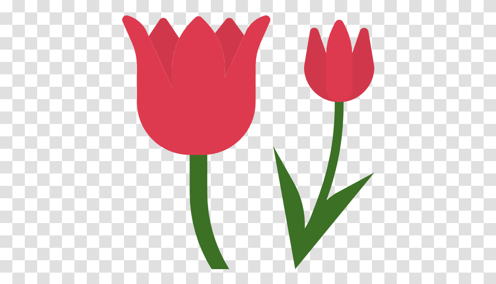Tulip Free Nature Icons Tulip Flower Icon, Plant, Blossom, Petal Transparent Png