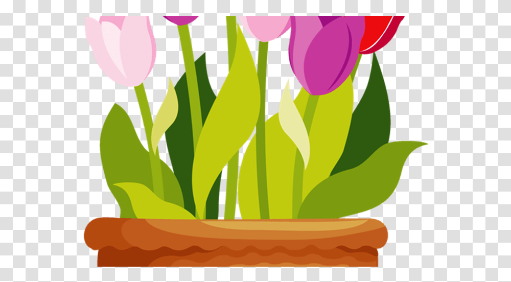 Tulip Garden Clip Art Flower Pot Clipart, Plant, Blossom, Petal Transparent Png