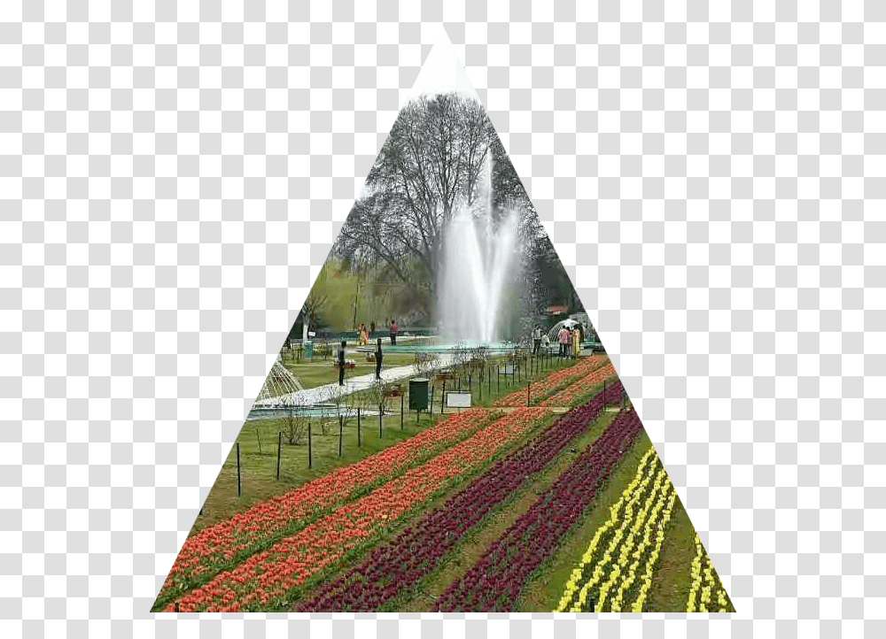 Tulip Garden Kashmiri, Water, Person, Human, Grass Transparent Png
