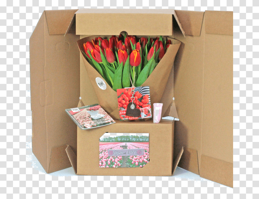 Tulip Gift Box, Cardboard, Carton, Flower, Plant Transparent Png