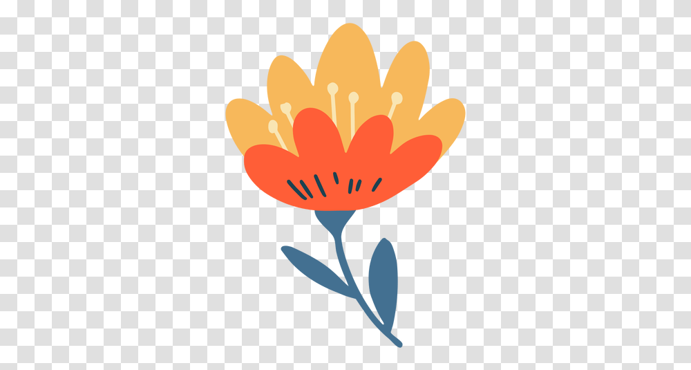Tulip Graphics To Download Poppy, Plant, Flower, Petal, Anther Transparent Png