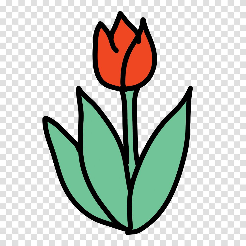 Tulip Icon, Plant, Flower, Blossom, Petal Transparent Png