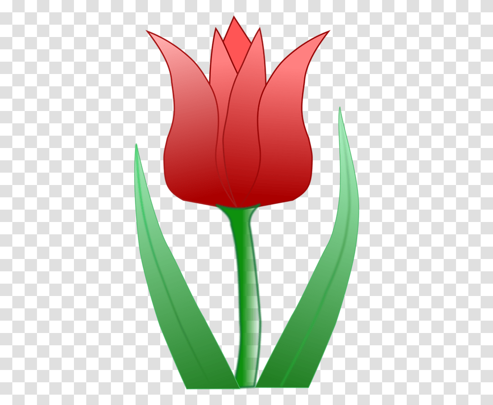 Tulip Illustration Desenho Flor Tulipa Amarela, Plant, Flower, Blossom, Petal Transparent Png