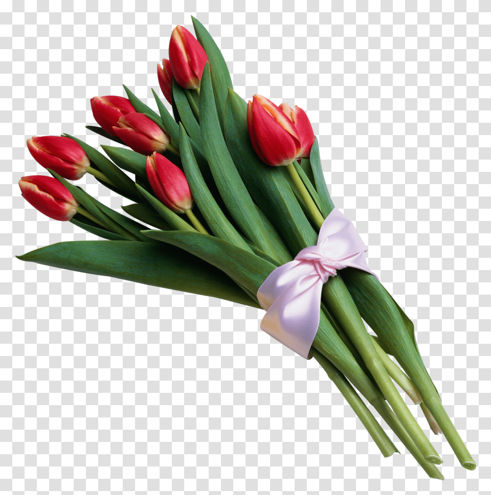 Tulip Image Bouquet Of Flowers Background, Plant, Blossom, Flower Bouquet, Flower Arrangement Transparent Png