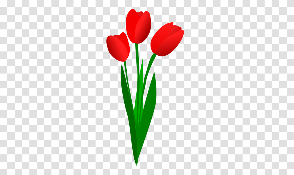 Tulip Image Clip Art, Plant, Flower, Blossom, Balloon Transparent Png