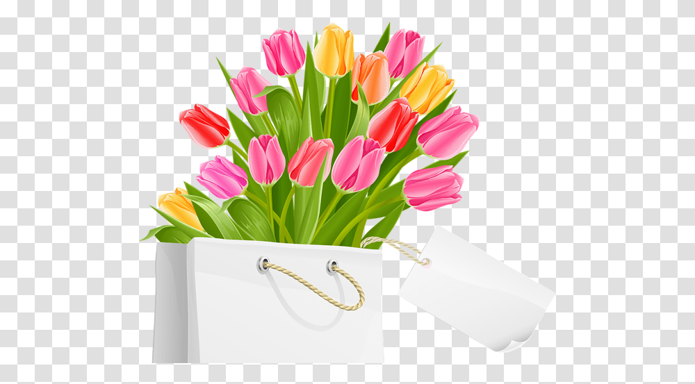 Tulip, Plant, Flower, Blossom, Flower Arrangement Transparent Png