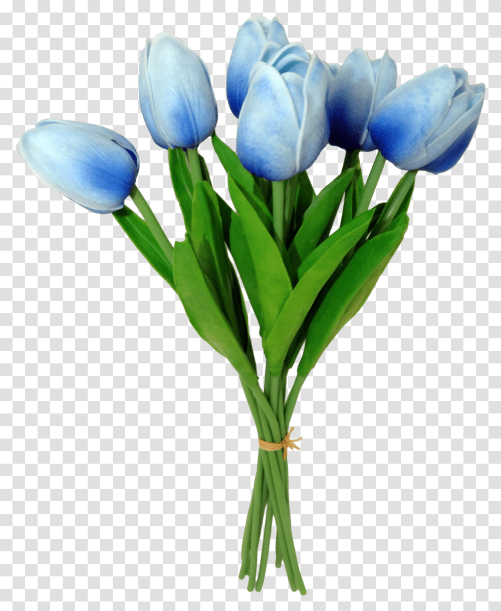 Tulip, Plant, Flower, Blossom, Flower Bouquet Transparent Png