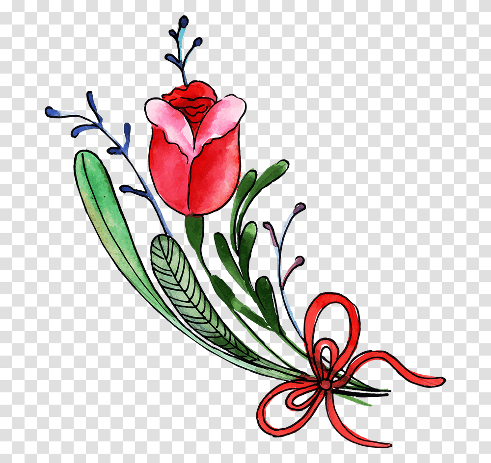 Tulip, Plant, Flower, Blossom Transparent Png