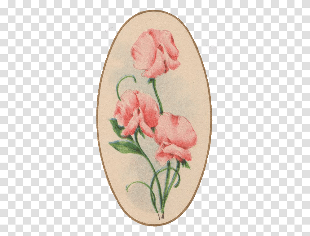 Tulip, Plant, Pattern, Embroidery, Flower Transparent Png