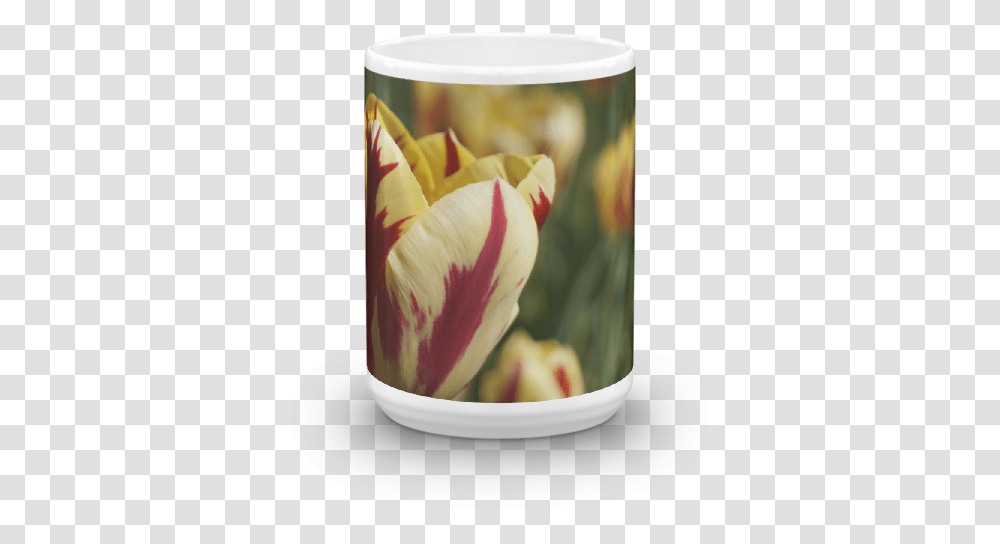 Tulip, Pottery, Plant, Saucer, Coffee Cup Transparent Png