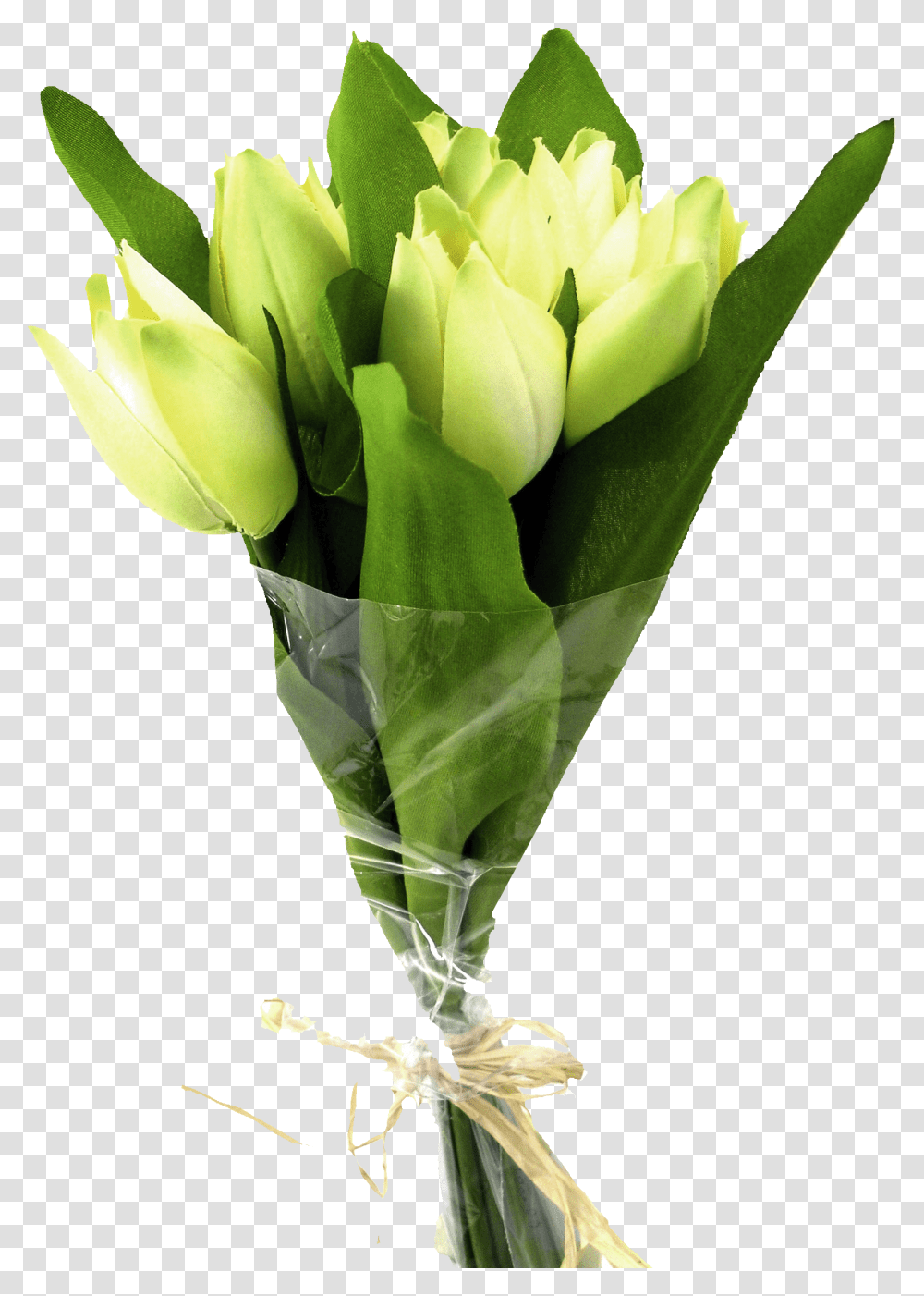 Tulip Tattoo Designs, Plant, Flower Bouquet, Flower Arrangement, Blossom Transparent Png