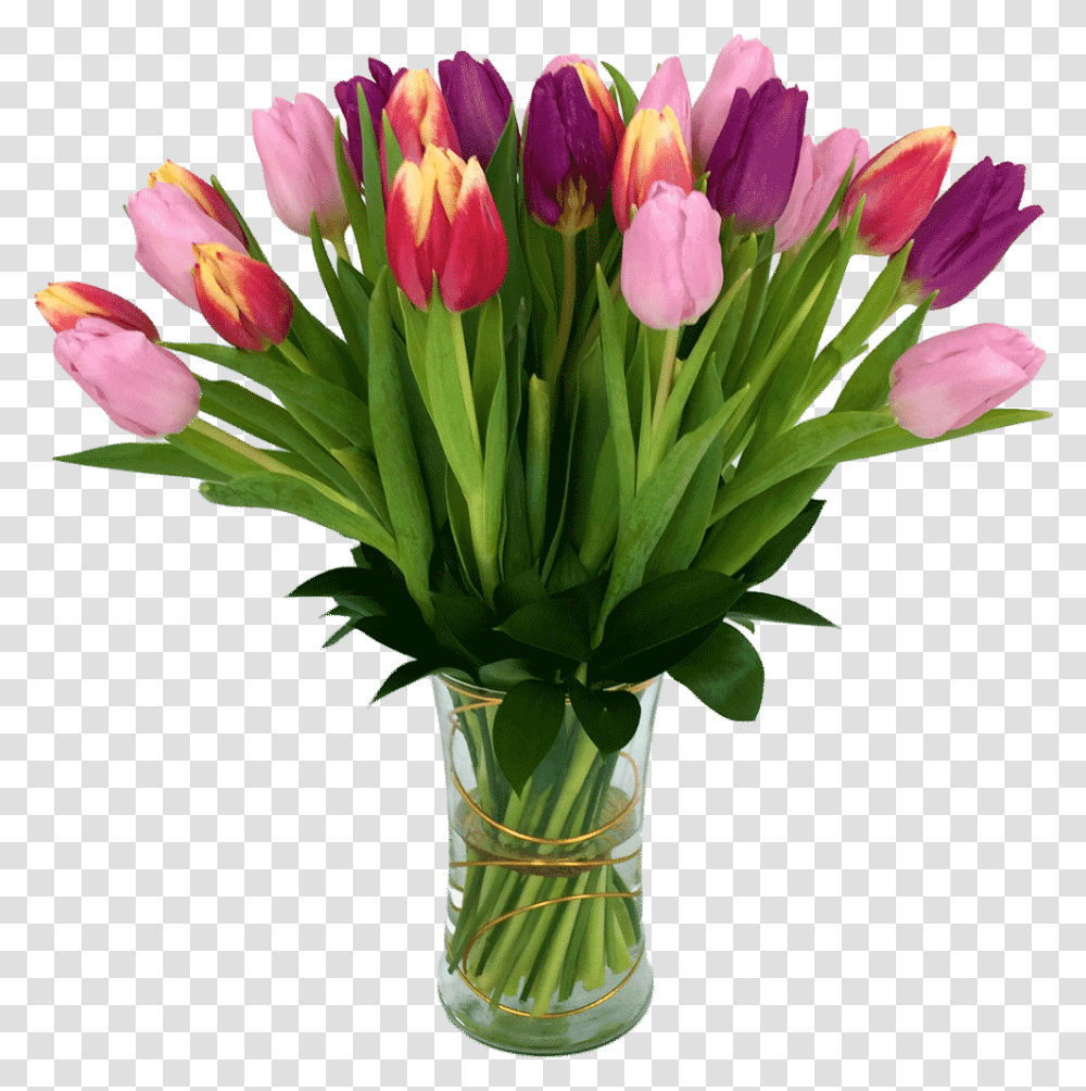 Tulip Treasure, Plant, Flower, Blossom, Flower Arrangement Transparent Png