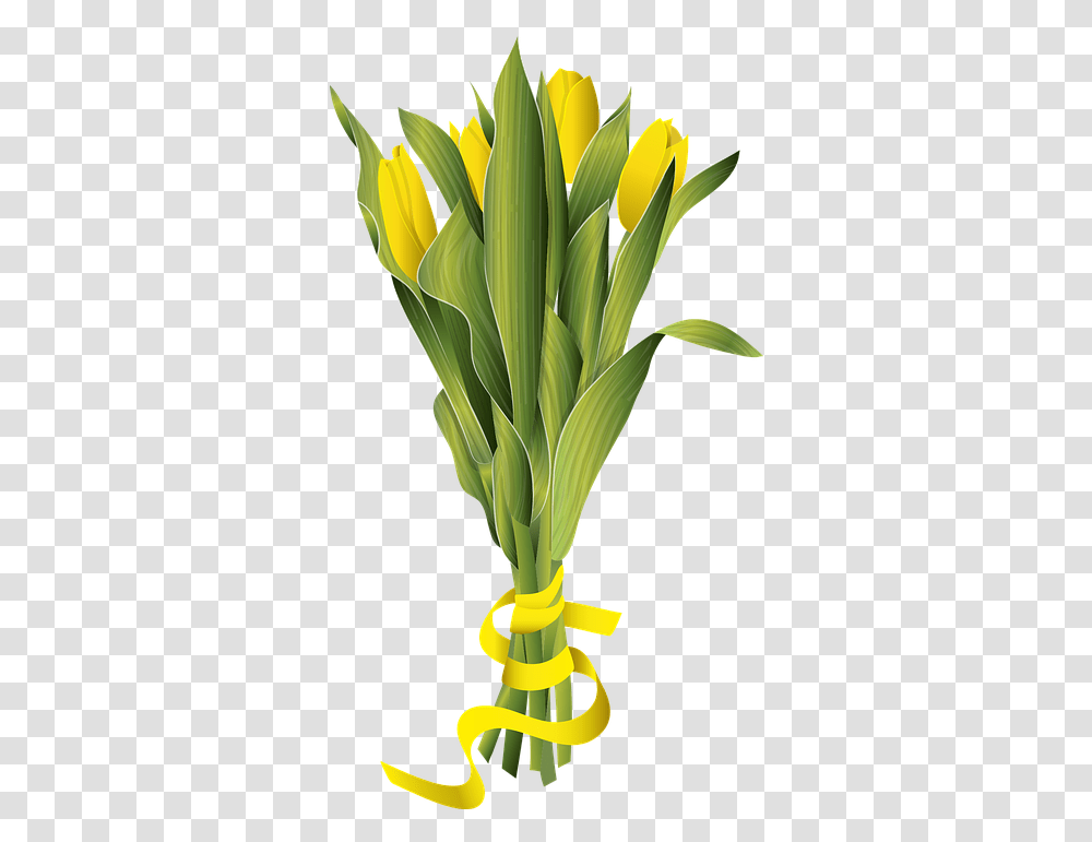 Tulip Tulips Spring Flower Flowers Free Vector Graphic On Fresh, Plant, Blossom, Iris, Daffodil Transparent Png