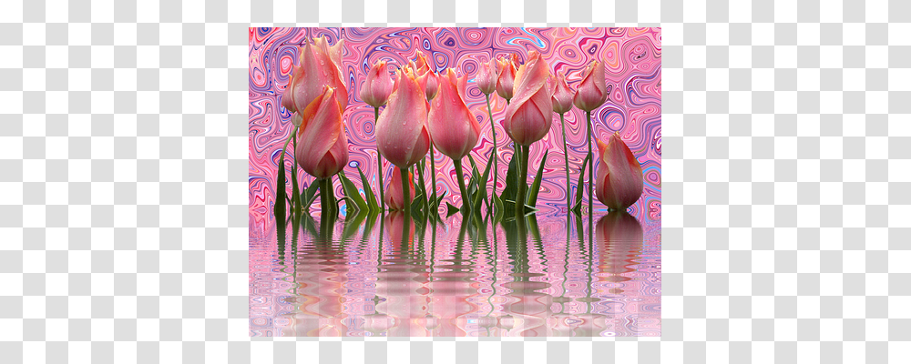 Tulips Nature, Plant, Flower, Painting Transparent Png