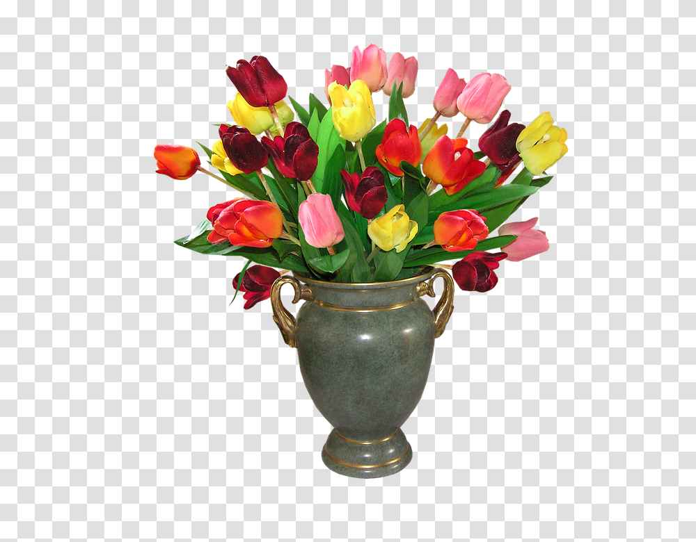 Tulips 960, Flower, Plant, Blossom, Flower Arrangement Transparent Png