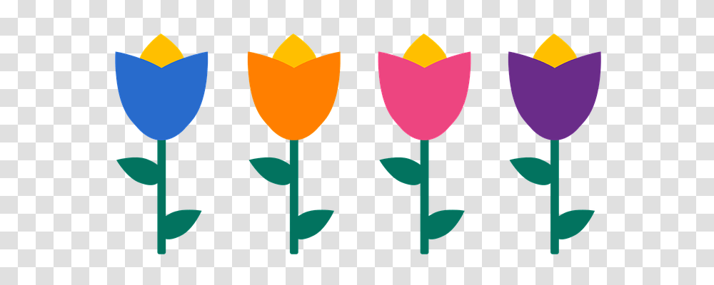 Tulips Nature, Glass, Goblet, Plant Transparent Png