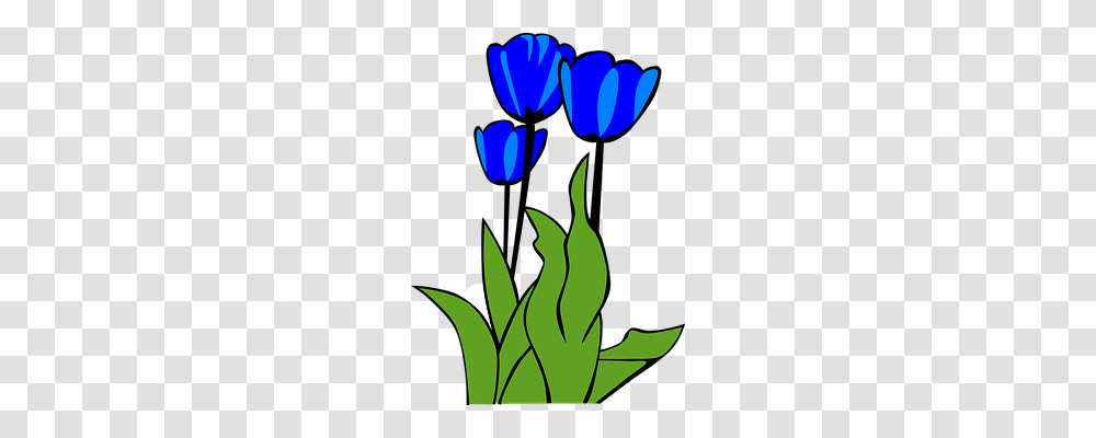 Tulips Nature, Leaf, Plant, Flower Transparent Png