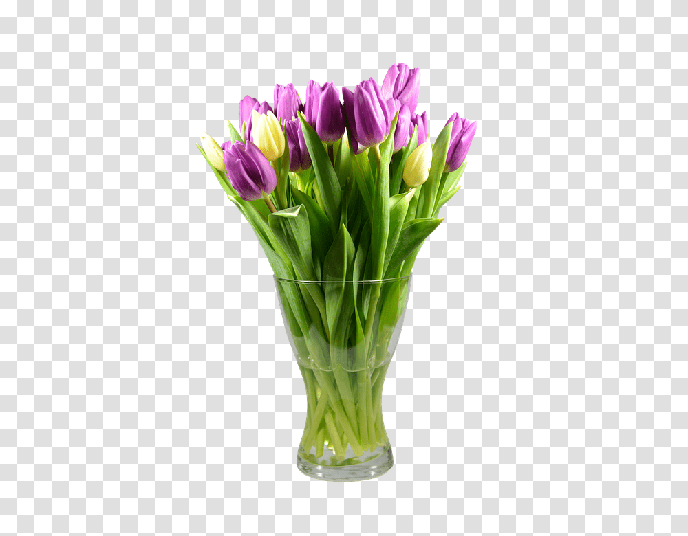 Tulips 960, Flower, Plant, Blossom, Flower Bouquet Transparent Png