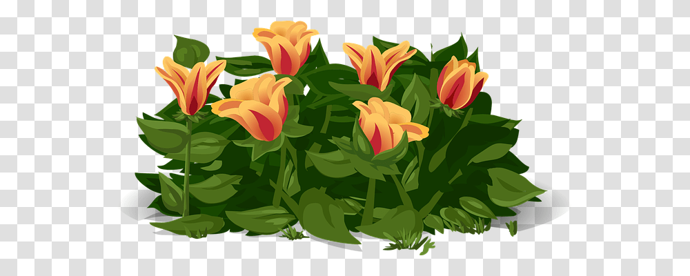 Tulips Nature, Floral Design, Pattern Transparent Png