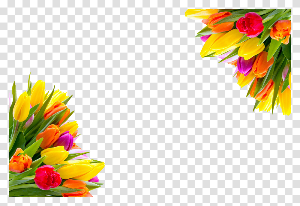Tulips Clip, Person, Floral Design Transparent Png