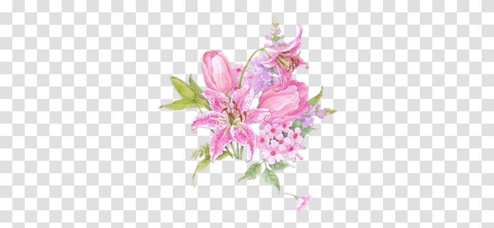 Tulips Bouquet Orchid Drawing Background, Plant, Flower, Blossom, Lily Transparent Png