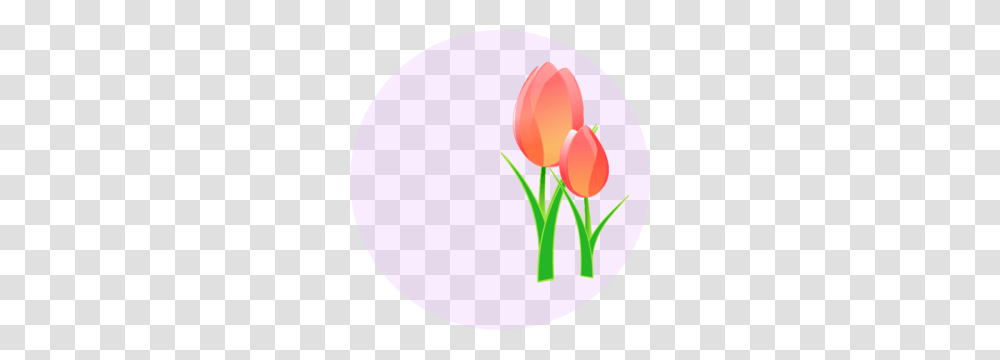 Tulips Clip Art, Plant, Flower, Blossom, Balloon Transparent Png