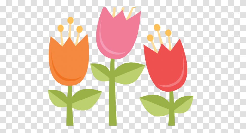 Tulips Clipart, Plant, Flower, Petal, Cross Transparent Png