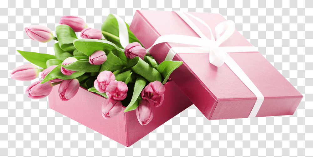 Tulips Download Flower And Gift Transparent Png