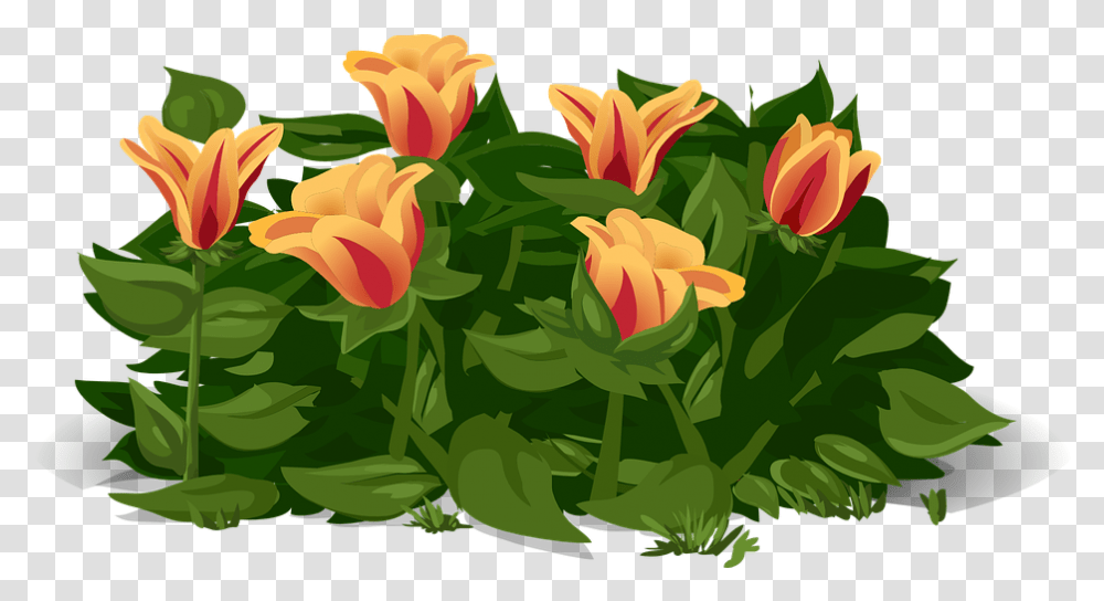 Tulips Flowers Plants Yellow Red Petals Orange Gelukkige Lente Dag, Blossom, Rose, Floral Design, Pattern Transparent Png
