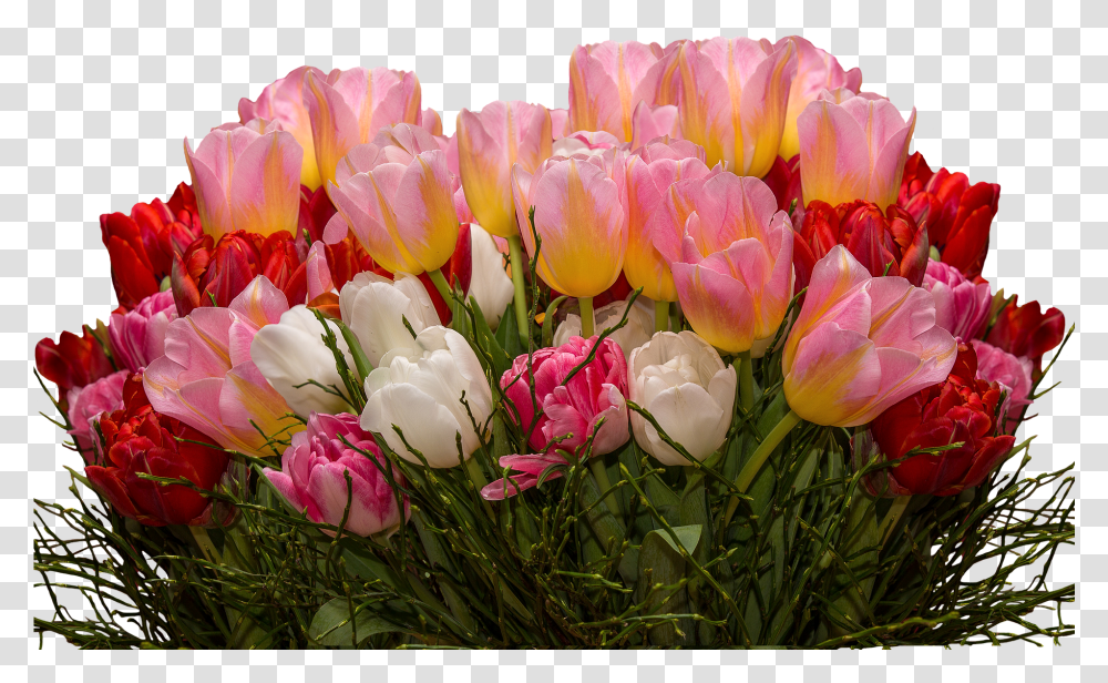 Tulips Flowers Transparent Png