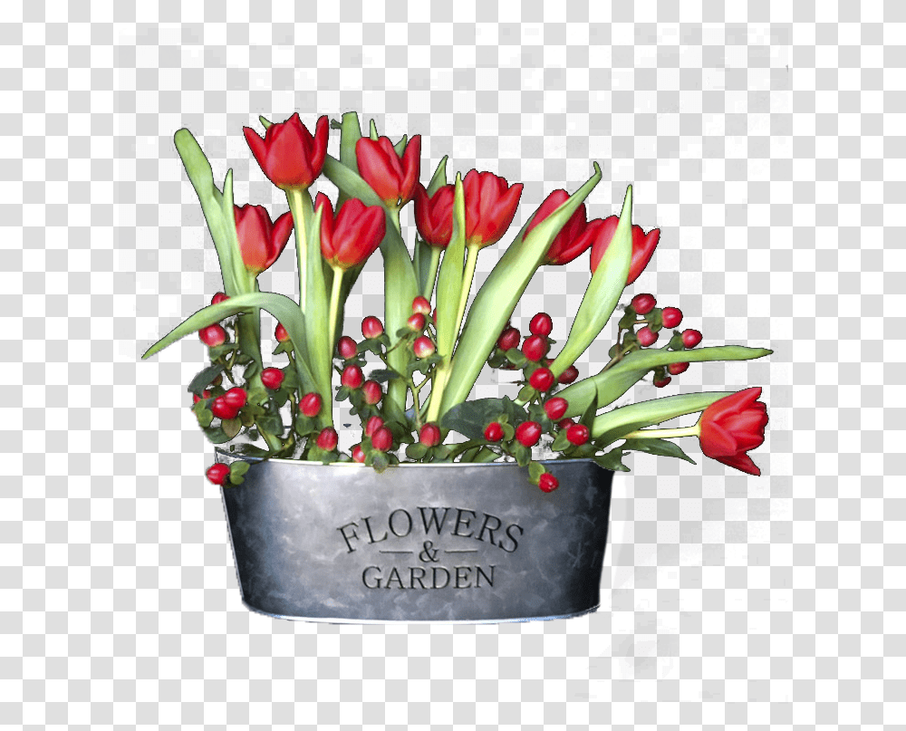 Tulips, Plant, Flower Bouquet, Flower Arrangement, Blossom Transparent Png