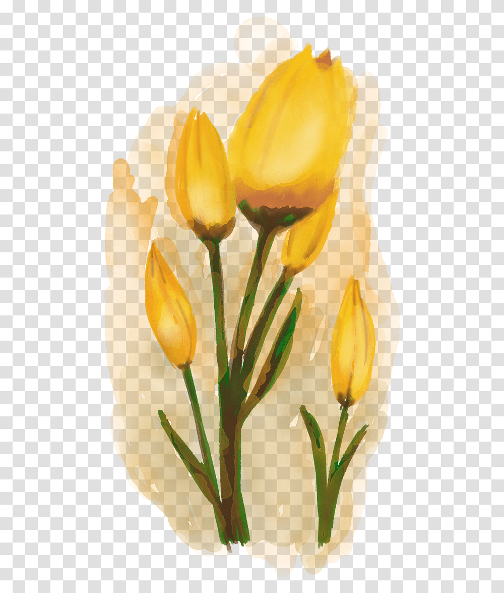 Tulips Watercolour Flowers Yellow Free Image On Pixabay, Plant, Petal, Pineapple, Painting Transparent Png