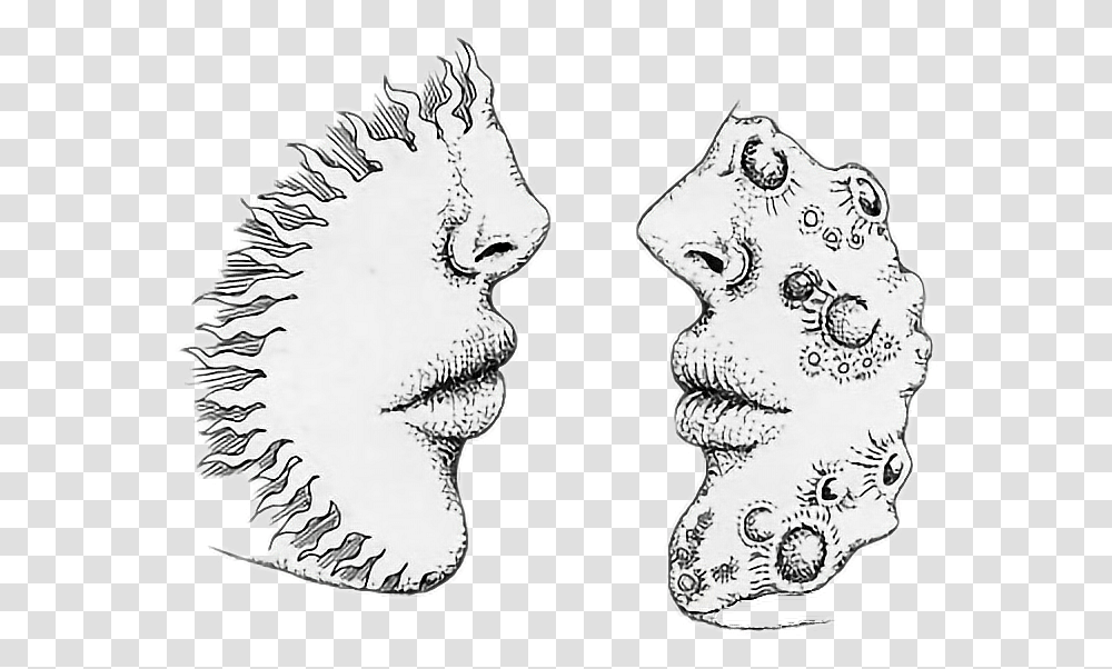 Tumbler Drawing Moon Sun And Moon Drawing, Teeth, Mouth, Lip, Person Transparent Png