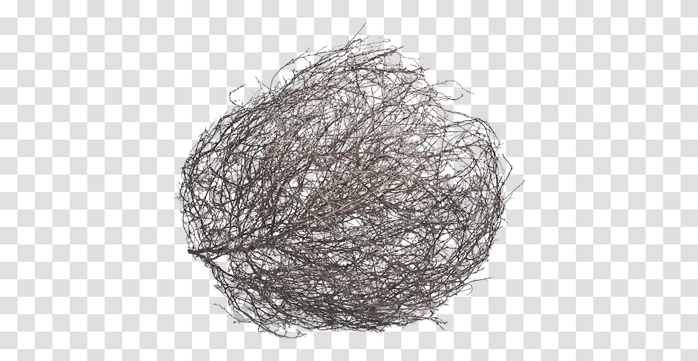 Tumbleweed, Fungus, Rug, Architecture, Building Transparent Png