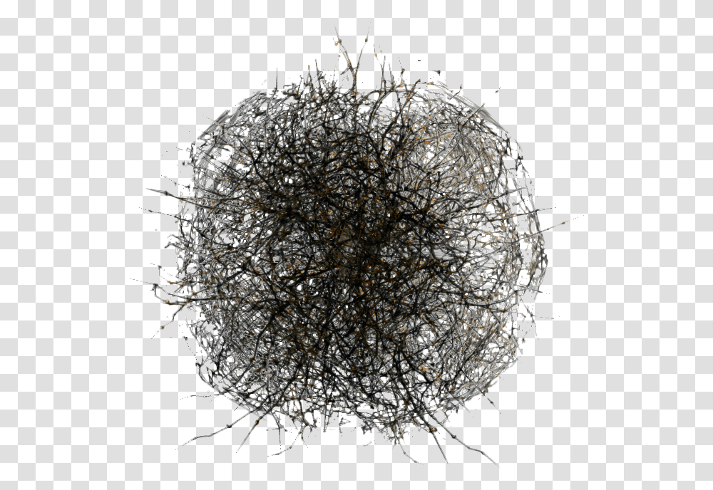 Tumbleweed Image Tumbleweed, Pineapple, Fruit, Plant, Food Transparent Png