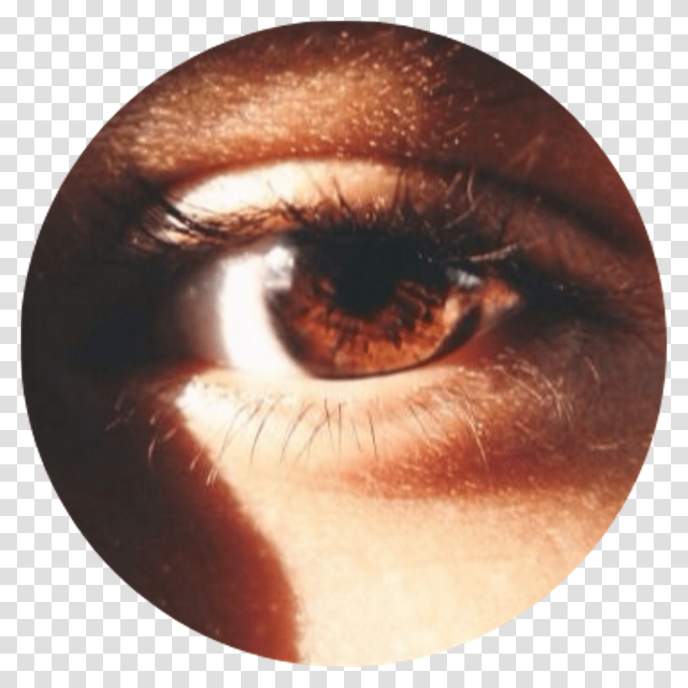 Tumblr Aesthetic Brown Eye Browneye Brown Eyes Aesthetic, Skin, Contact Lens, Face, Person Transparent Png