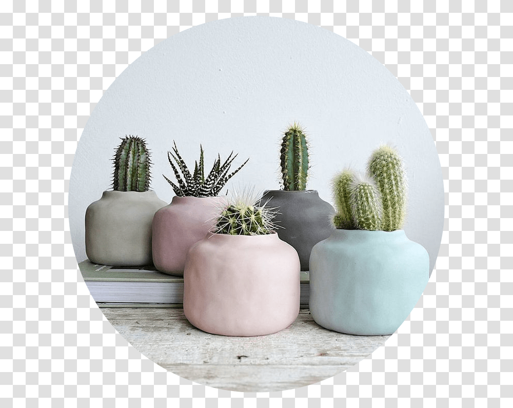Tumblr Aesthetic Pastel Kaktus Cactus Aesthetic Scandinavian Plants Pots Transparent Png