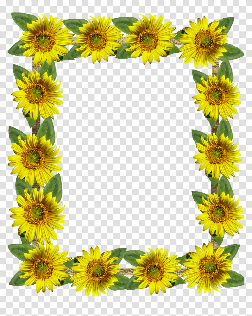 Tumblr Aesthetic Polaroid Frame Frames Sunflowers Sunfl Sunflower, Plant, Blossom, Rug, Daisy Transparent Png